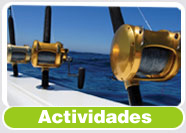 que hacer en mazatlan